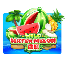 Wild Watermelon