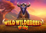 Wild Wildebeest Wins