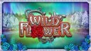 Wild Flower